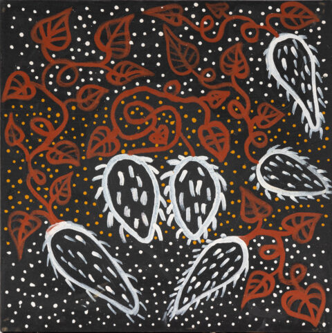 Jaliwaki (Bush potato) - Painting - Dion  Daniels