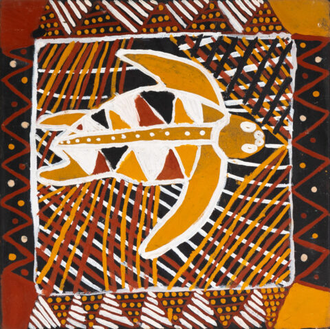 Turtle (Jarrikarlani) - Painting - Reggie Mungatopi