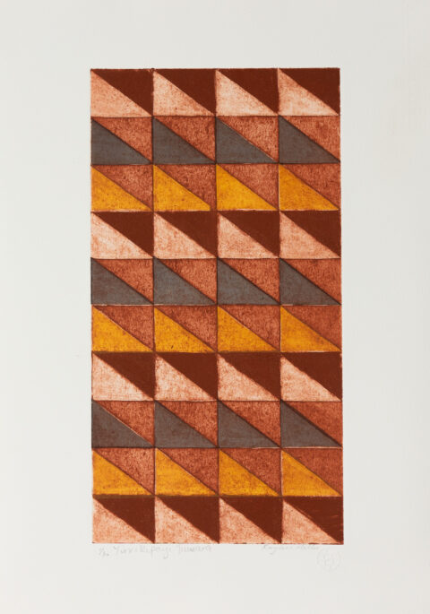 Yirrikipayi (Crocodile) tuwara - Print - Raylene Miller