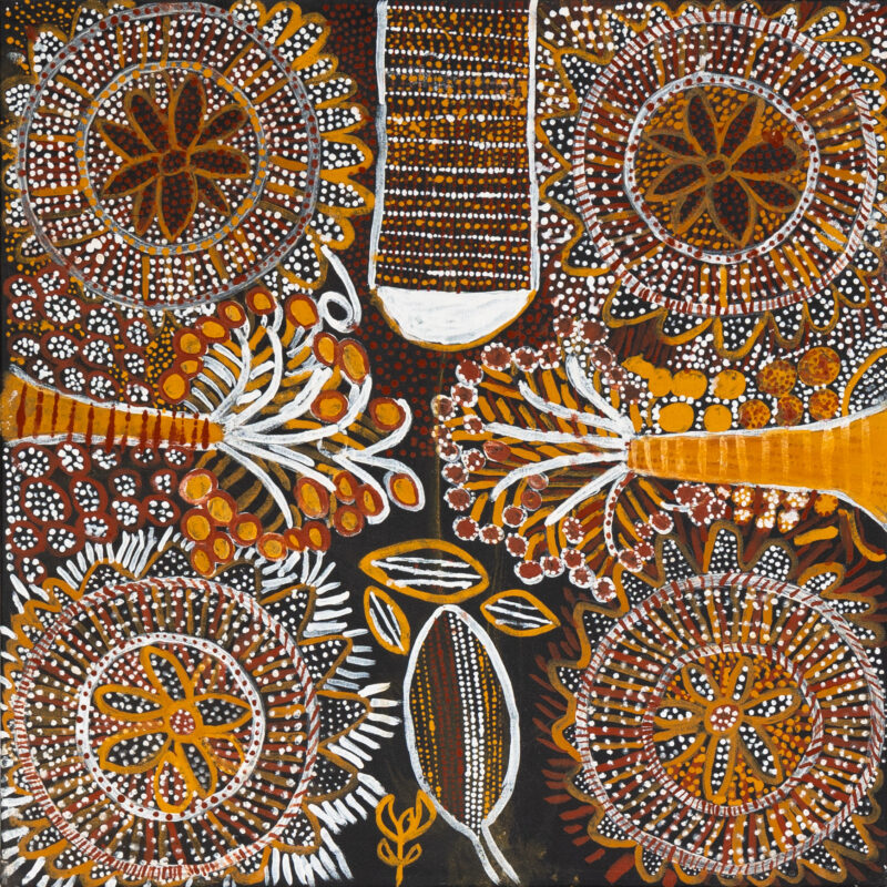 Wurrijinga (bush flower) - Painting - Mary Elizabeth Moreen