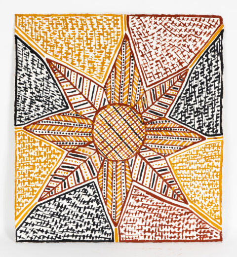 Pumpuni Jilamara - Painting - Raylene Miller
