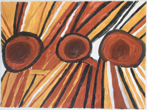 Kulama Japarra - Painting - Timothy  Cook