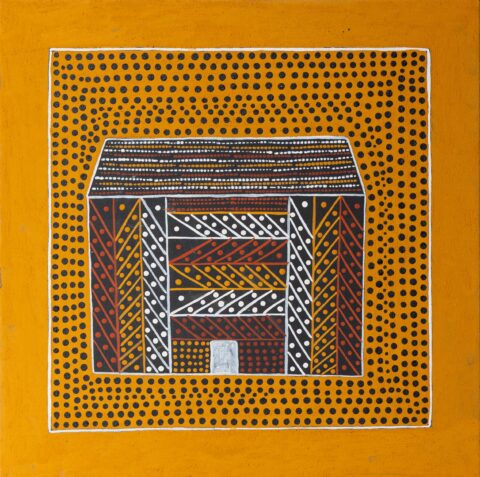 Japuja (home) - Painting - Jimmy Mungatopi