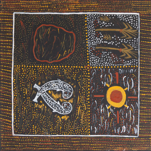 Tiwi Skin Groups (tribes) - Painting - Pamela Brooks