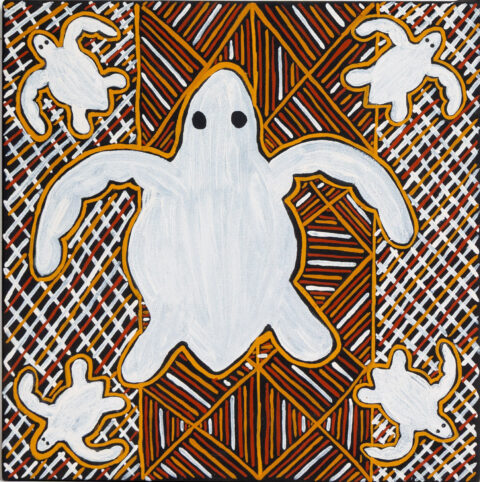 Jarrikarlani (Loggerhead Turtle) - Painting - Arthurina  Moreen