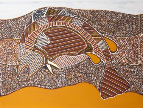 Arlaminga (Barramundi) - Painting - Patrick Freddy Puruntatameri