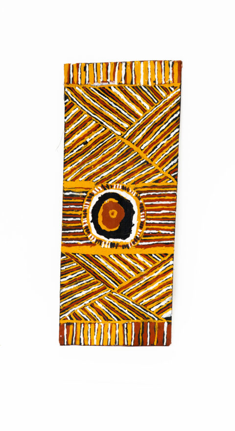 Pumpuni Jilamara (Good design) - Stringybark Painting - David Freddy (Busta) Puruntatameri