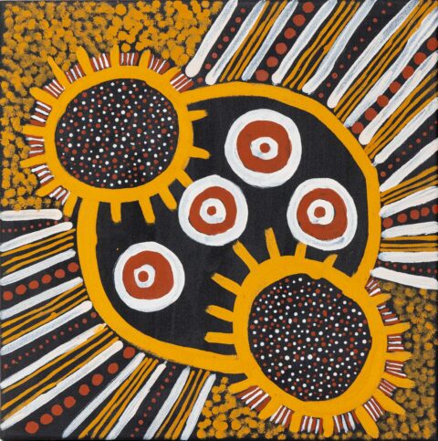 Pumpuni Jilamara (Good design) - Painting - Geraldine  Tipiloura