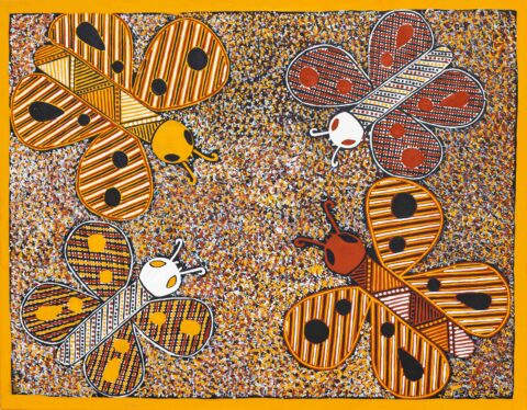 Kwarikwaringa (Butterfly) - Painting - Geraldine Pilakui