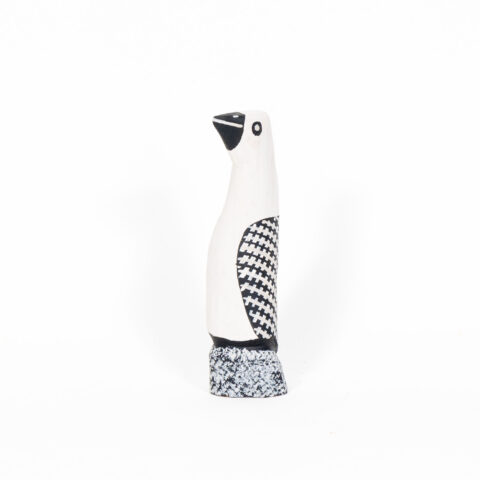 Tokwampini, the bird. - Ironwood Carving - Geraldine Pilakui