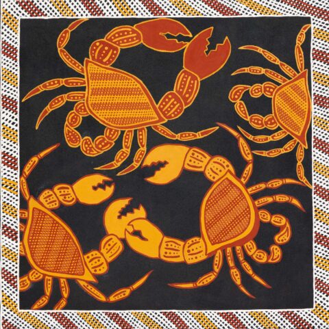 Kurumpuka (Mud Crab) - Painting - Amber Shepherd