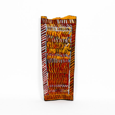 Jilamara (body paint designs) - Stringybark Painting - Doriana Walreiyu Purnarrika Bush