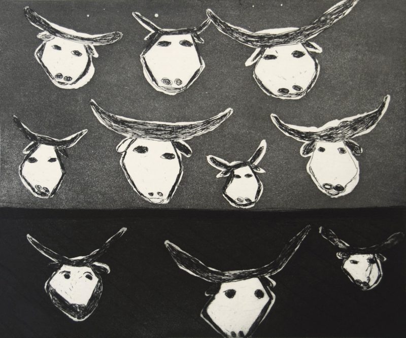 Jarrangini (buffalo) - Etching Prints - Chris Black