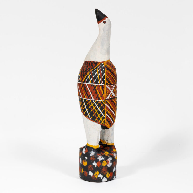 Tokwampini, the bird. -  - Pius Tipungwuti